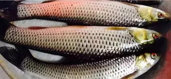 海南，热带天堂的绿色画卷