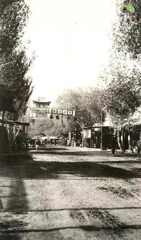 新疆的魅力与风情