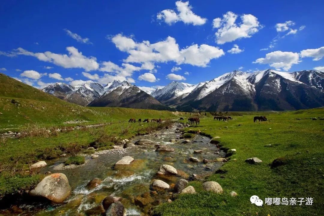 新疆小巷深处的味蕾秘境邂逅